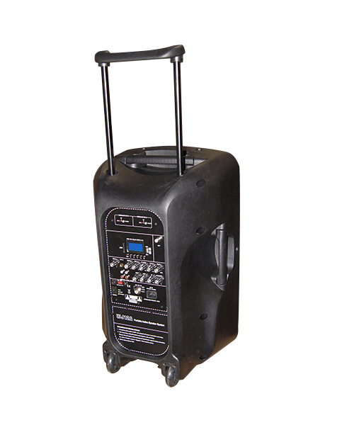 SOUNDKING WJ12A Акустическая система с 2 микрофонами